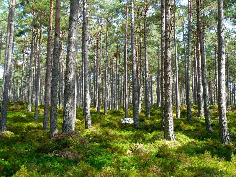 Sustainable Eco-Tourism